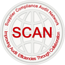SCAN Security Audit